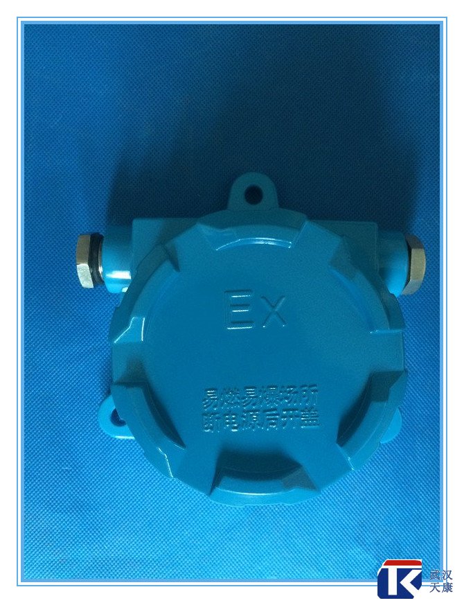 壁掛式防爆熱電阻/pt100、4-20mA輸出